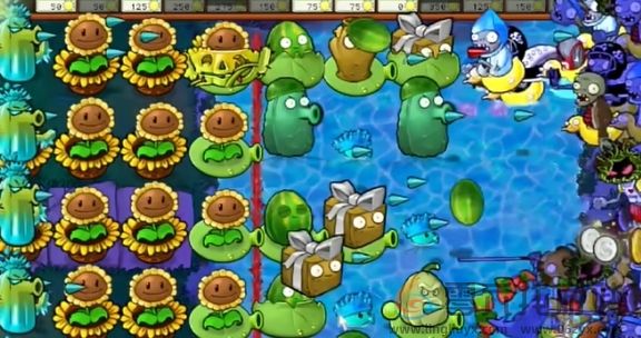 植物大战僵尸杂交版冒险模式第75关通关攻略(图7) 植物大战僵尸杂交版冒险模式第75关通关攻略(图7)