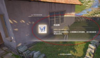 无限暖暖珠链蝶捕捉方法(图6) 无限暖暖珠链蝶捕捉方法(图6)