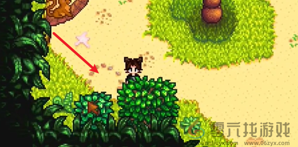 星露谷物语姜岛北部金核桃在哪